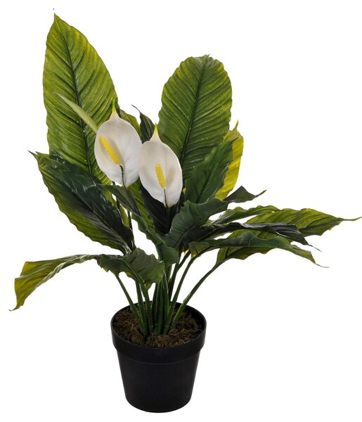 Pianta Artificiale Spathipilium con Vaso H 65 cm