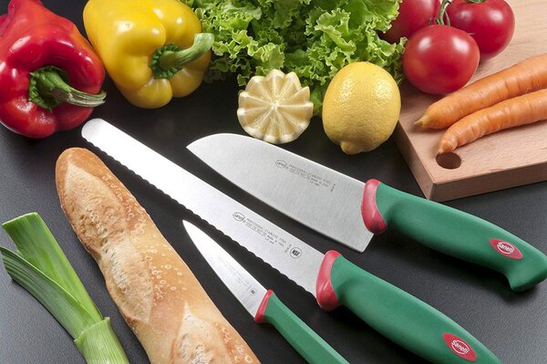Set Coltelli da Cucina 4 Pezzi Manico Antiscivolo Sanelli Premana Verde/Rosso