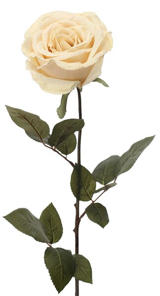 Set 4 Rose Artificiali Calista Altezza 72 cm