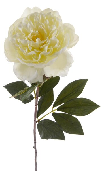 Set 6 Peonia Artificiale Aperta Altezza 76 cm