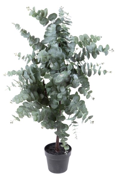 Pianta Artificiale Eucalyptus in Vaso H 110 cm