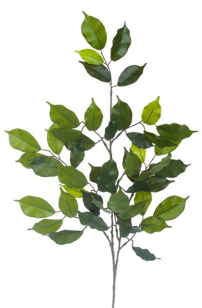 Set 12 Rami di Ficus Artificiale con 42 Foglie Altezza 60 cm Verde