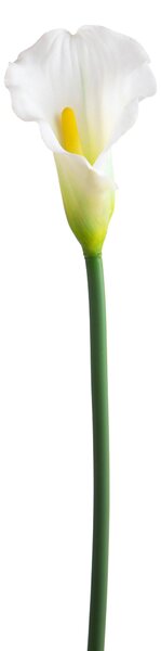 Set 8 Fiori Artificiali di Calla Singola Altezza 68 cm Bianco