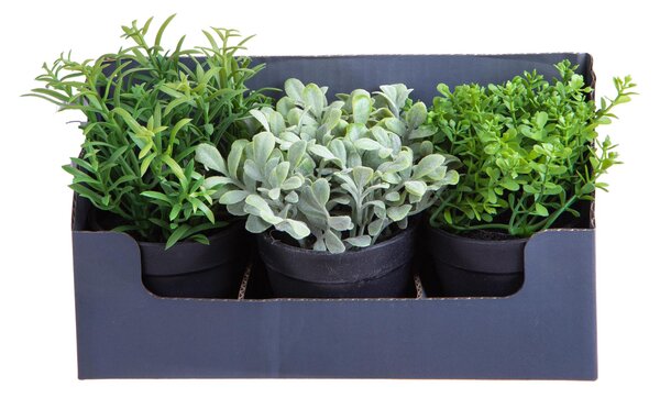 Set 2 Mini Piante Aromatiche Artificiali 6 Pezzi in Vaso assortite Altezza 20 cm Verde