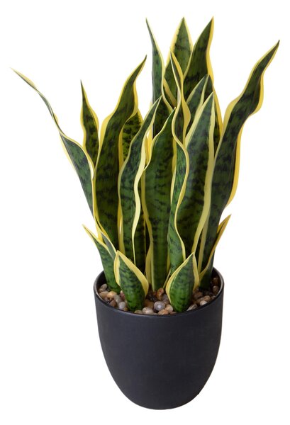 Pianta Artificiale Sanseveria con Vaso 48 cm