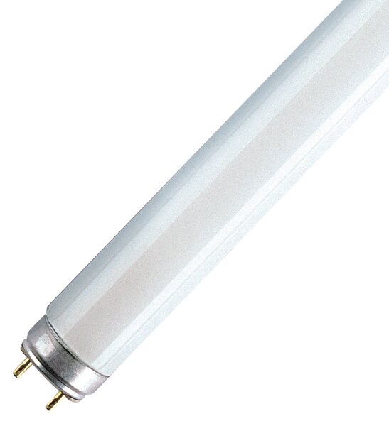 Tubo luminoso Fluorescente Fluo Osram 950 LM bianco luce fredda L 45 cm