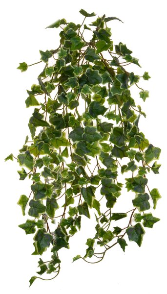 Set 2 Foglie Artificiali Edera 85 cm Cadente Real Touch