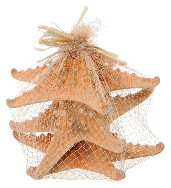 Set 12 Stelle Marine in Rete 20 cm