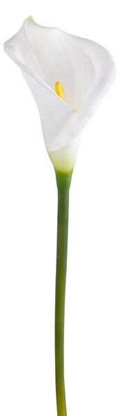 Set 6 Fiori Artificiali di Calla Semi Aperta Altezza 66 cm Bianco