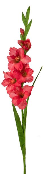 Set 8 Fiori Artificiali di Gladiolo Mini Altezza 74 cm Rosso