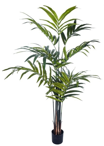 Pianta Artificiale Kenzia con Vaso H 210 cm