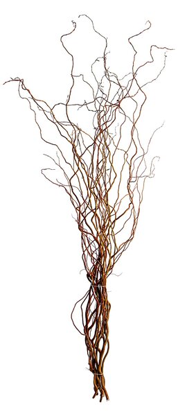 Set 20 Rami Naturali Salix 200 cm Nocciolo
