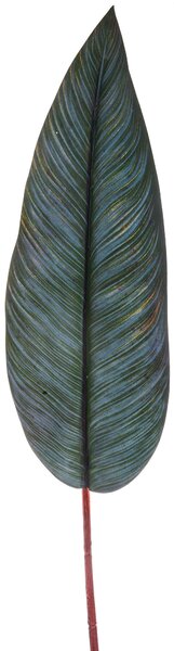 Set 6 Foglie di Strelitzia Artificiale Altezza 83 cm Verde
