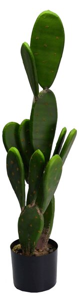 Pianta cactus con vaso tondo cm Ø14xh84