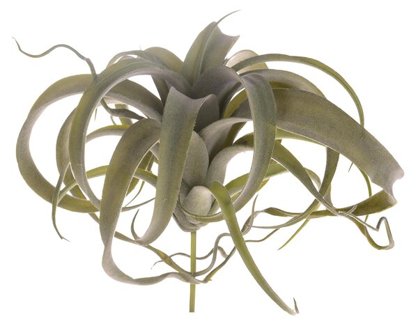 Set 2 Tillandsia Artificiale con 23 Foglie Altezza 25 cm Verde
