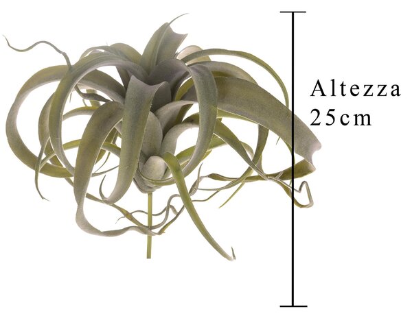 Set 2 Tillandsia Artificiale con 23 Foglie Altezza 25 cm Verde