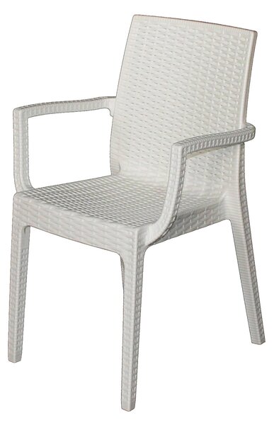 Sedia da Giardino 55x54x85 cm in Resina Bianca