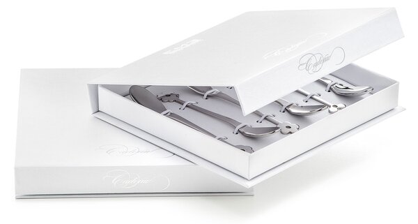 Set di Cucchiaini Cappuccino 6 Pezzi in Acciaio Eme Cadeau