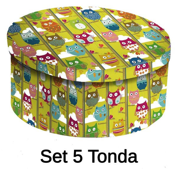 Set 5 Scatole cartone gufi