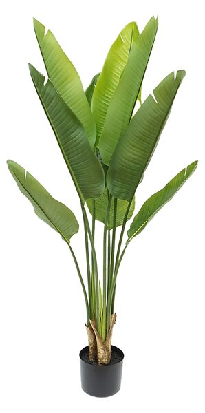 Pianta Artificiale Real Touch Sterlizia x 9 110 cm con Vaso