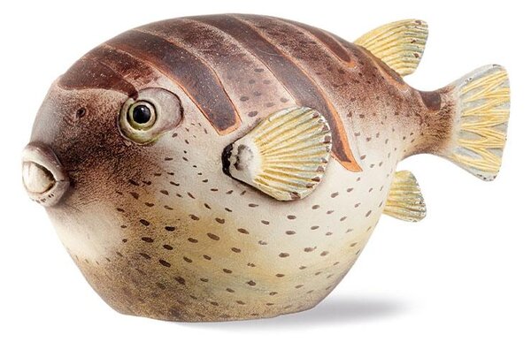 Pesce palla Colomesus decorativo