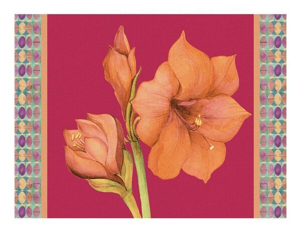 Tovaglietta rigida magenta - Amaryllis