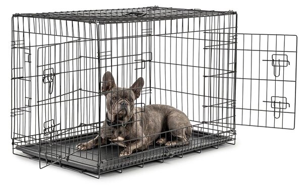 Gabbia da trasporto per animali lionto, gabbia pieghevole in metallo con parete divisoria, base in plastica e chiusura di sicurezza, 92x58x64 cm