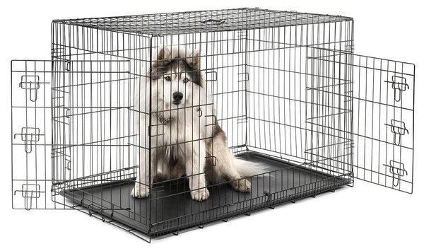Gabbia da trasporto per animali lionto, gabbia pieghevole in metallo con parete divisoria, base in plastica e chiusura di sicurezza, 122x75x81 cm