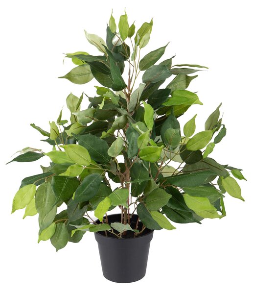 Ficus Artificiale Con Vaso Altezza 55 Cm Verde