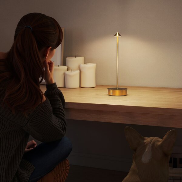 HOMCOM Set di 2 Lampade da Tavolo LED Ricaricabili con USB e Controllo Tattile e Luce Regolabile Ø10x30 cm Dorato | Aosom Italy