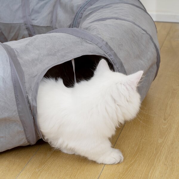 PawHut Tunnel per gatti con letto e cuscino, pieghevole, con fori per palline e porticina, Ø 90 x 27 cm grigio | Aosom Italy