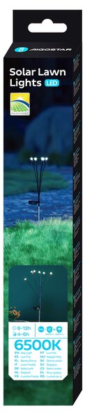 Lampioncino segnapassi Led Feelers 0,04W Argento in acciaio con pannello solare IP44 Bianco freddo 6500K con sensore crepuscolare Aigostar