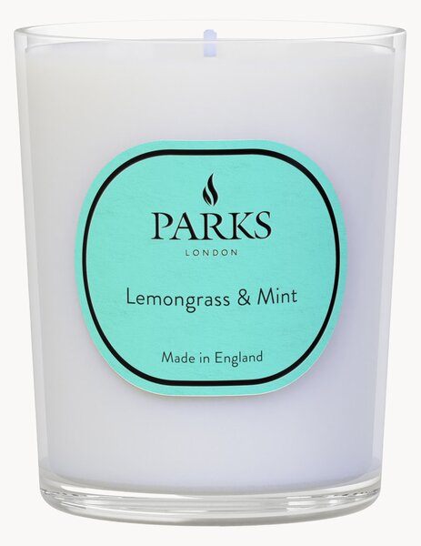 Candela profumata fatta a mano Vintage Aromatherapy (citronella, menta & agrumi)