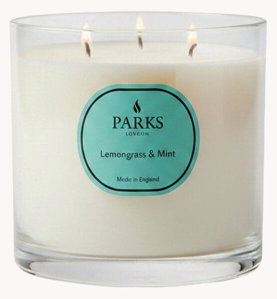 Candela profumata fatta a mano a tre stoppini Vintage Aromatherapy (citronella, menta e agrumi)