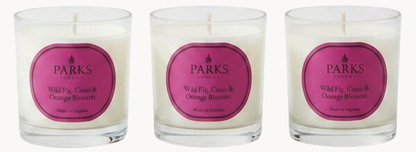 Set di 3 candele profumate fatte a mano Vintage Aromatherapy (fico selvatico, ribes nero e fior d'arancio)