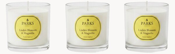 Set di 3 candele profumate fatte a mano Vintage Aromatherapy (fiore di tiglio, magnolia e muschio morbido)