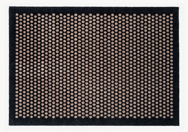 Zerbino Dot
