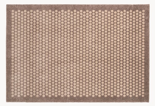 Zerbino Dot