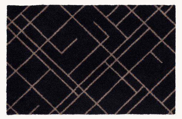 Zerbino Lines