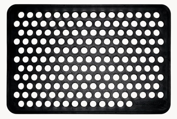 Zerbino Dot