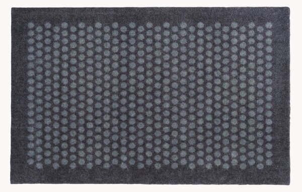 Zerbino Dot