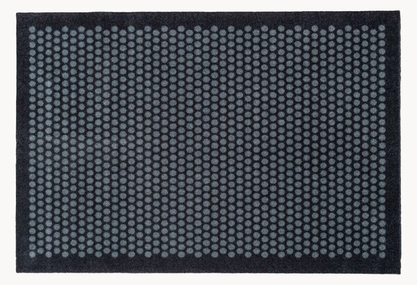 Zerbino Dot