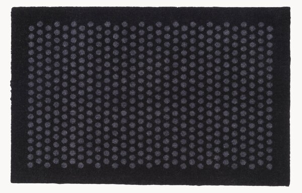 Zerbino Dot