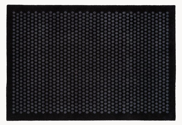 Zerbino Dot