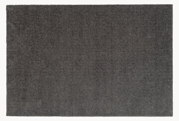 Zerbino Unicolor
