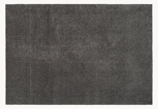 Zerbino Unicolor