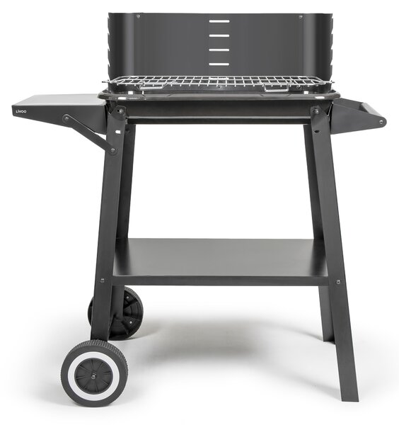 Barbecue a carbonella 48,5 x 28,8 cm Livoo DOC328