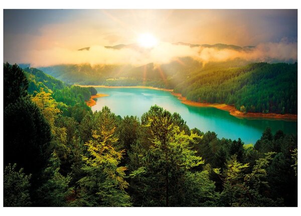 Carta da parati – Fiume nel mezzo della foresta