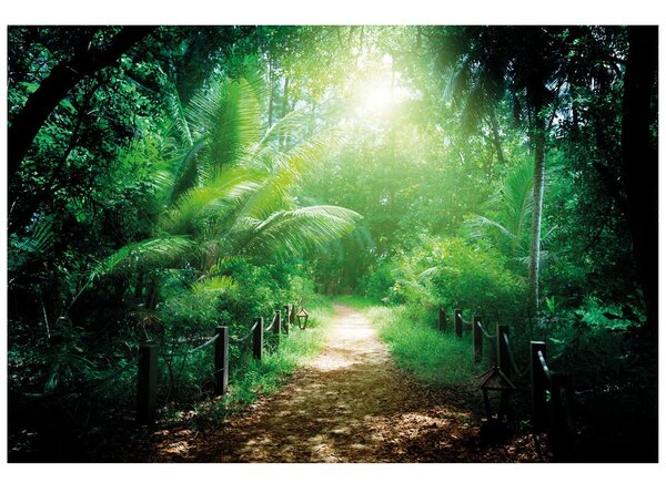 Carta da parati – Sentiero sull'isola di Seychelles