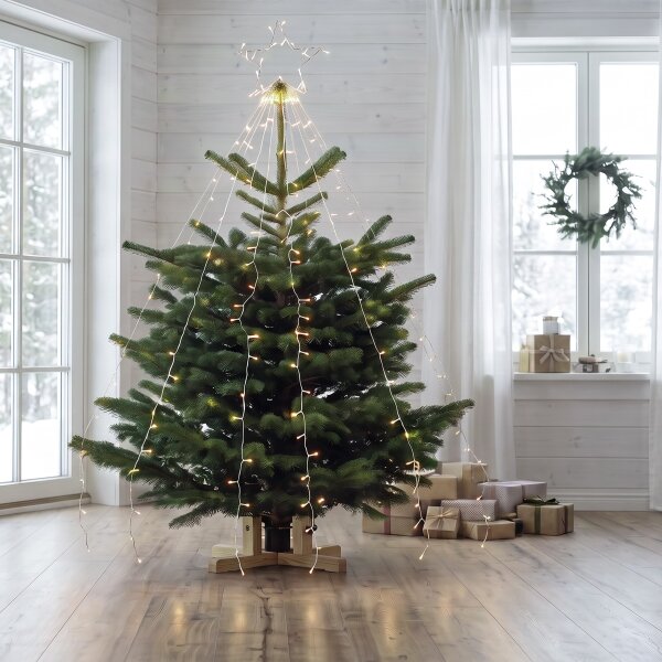 BRILAGI - LED Catena luminosa natalizia da esterno per albero LED/1,6W/230V IP44